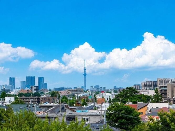 住戸からの眺望写真