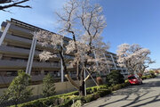 レールシティ八王子かえで通り