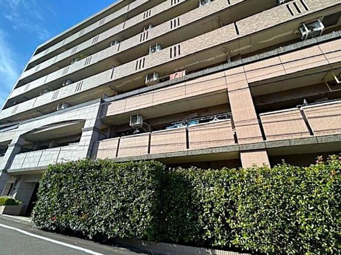 外観 外観