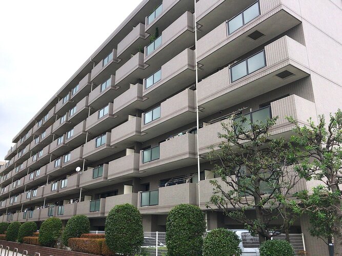 外観 外観