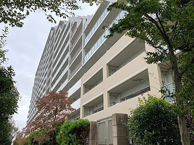 外観 外観