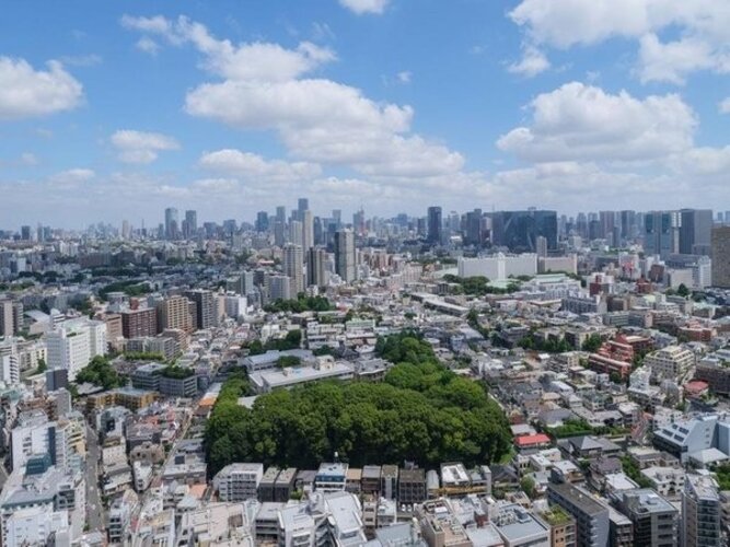 住戸からの眺望写真 住戸からの眺望写真