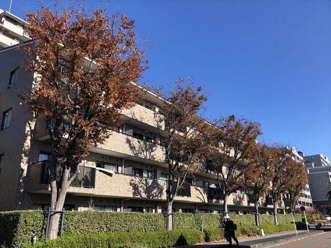 外観 外観
