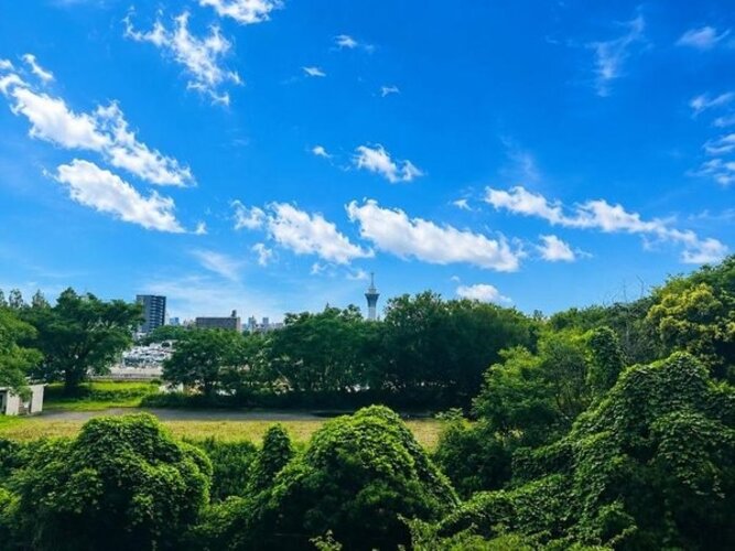 住戸からの眺望写真 住戸からの眺望写真