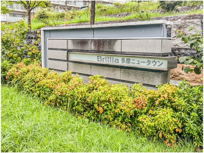 めまぐるしく過ぎ行く日々の中でゆったりとした休息と癒しを提供してくれる空間がここから始まります。 めまぐるしく過ぎ行く日々の中でゆったりとした休息と癒しを提供してくれる空間がここから始まります。