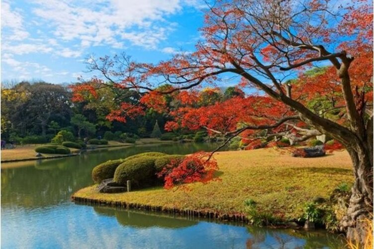 その他環境写真