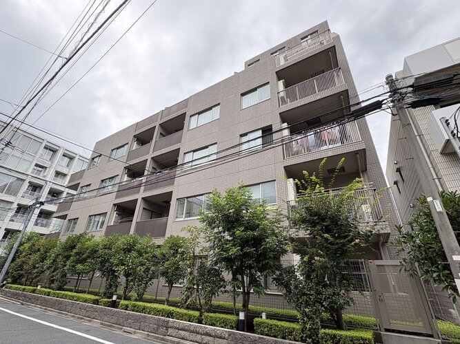 格調と静謐を強く息づかせたデザイン空間が、住む人や訪れる人を館内へとやさしくエスコートします。