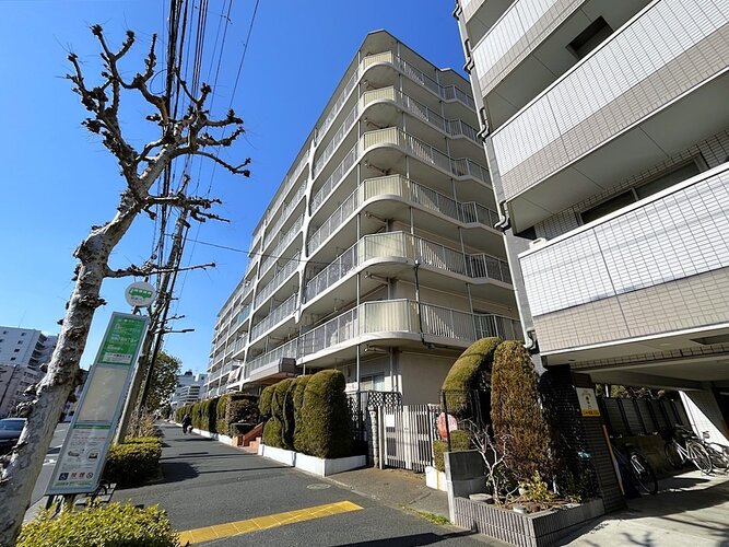 外観 外観