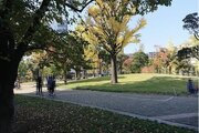 公園