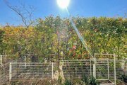 住戸からの眺望写真 住戸からの眺望写真