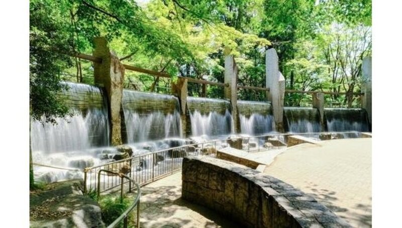 公園 公園