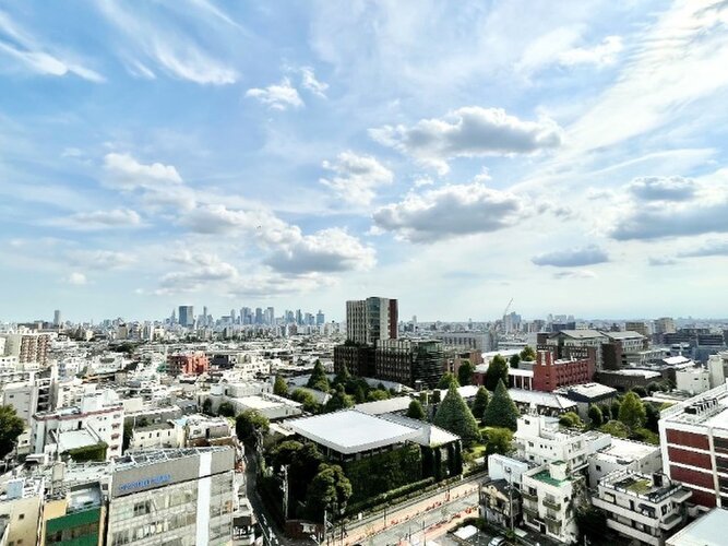 11階部分につき眺望良好！眼下に街並みが広がるこのお部屋の特徴です！