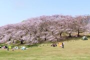 その他環境写真 その他環境写真