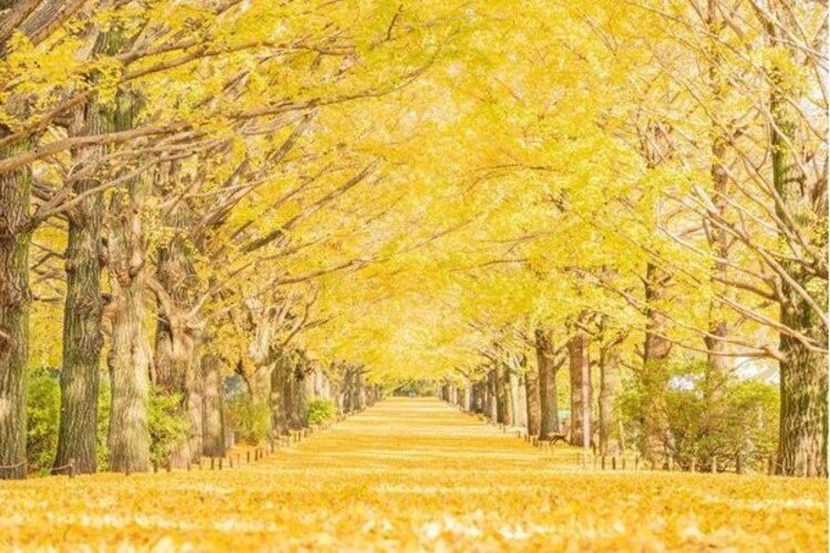 その他環境写真