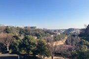 住戸からの眺望写真