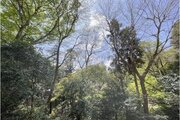住戸からの眺望写真 住戸からの眺望写真