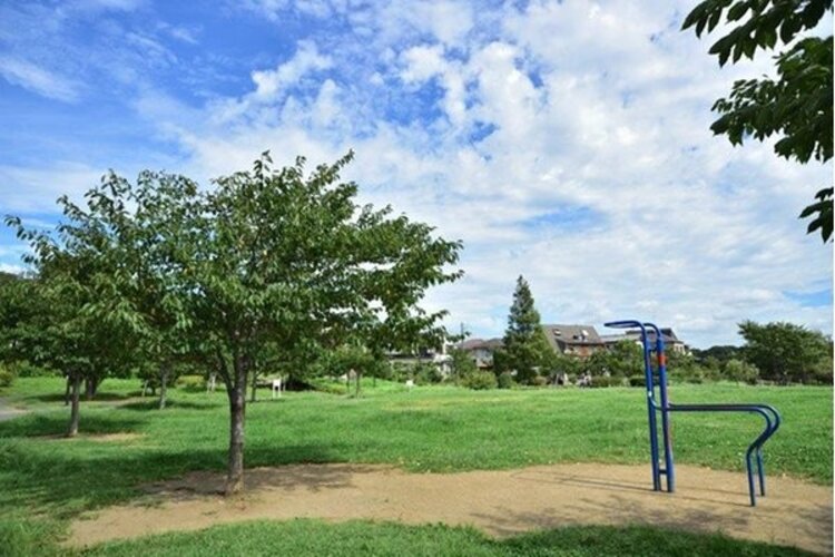 その他環境写真