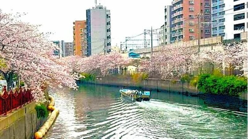 その他環境写真 その他環境写真