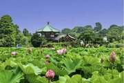その他環境写真 その他環境写真