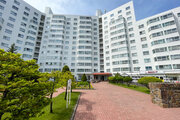 青空に映えるスタイリッシュで存在感のある大規模マンションです！敷地内には豊かな植栽が整えられており、四季折々の自然を身近に感じられます。綺麗に管理されたアプローチが安心感を高めてくれます♪