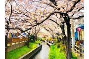 その他環境写真 その他環境写真