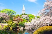 その他環境写真