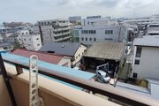 優しく迎えてくれる豊かな自然。四季の移り変わりを感じる心地よい場所となりそうです。 優しく迎えてくれる豊かな自然。四季の移り変わりを感じる心地よい場所となりそうです。