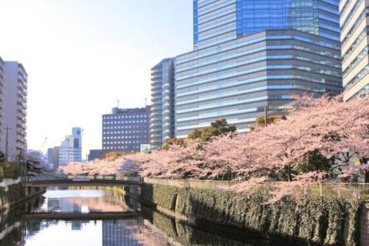 その他環境写真 その他環境写真