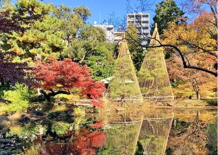 公園