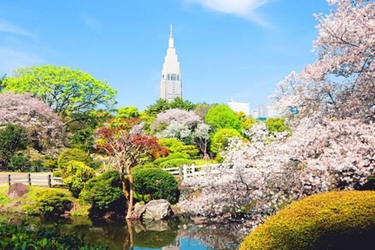 その他環境写真