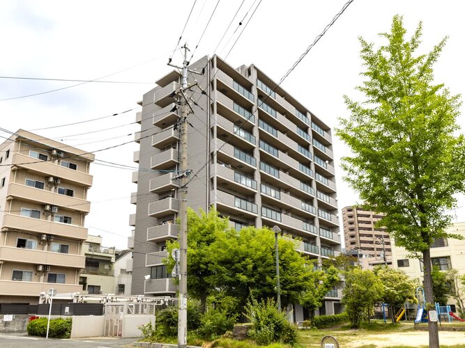 外観 外観