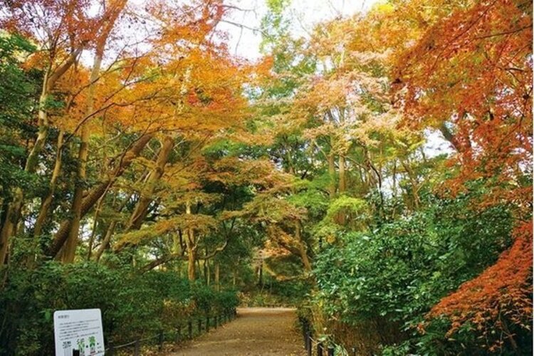 その他環境写真