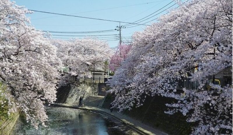 その他環境写真 その他環境写真