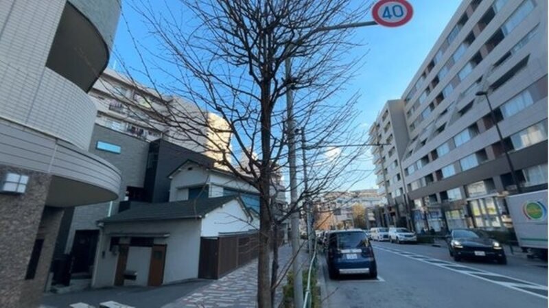 その他現地 その他現地