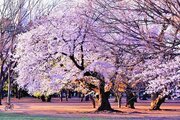 その他環境写真 その他環境写真