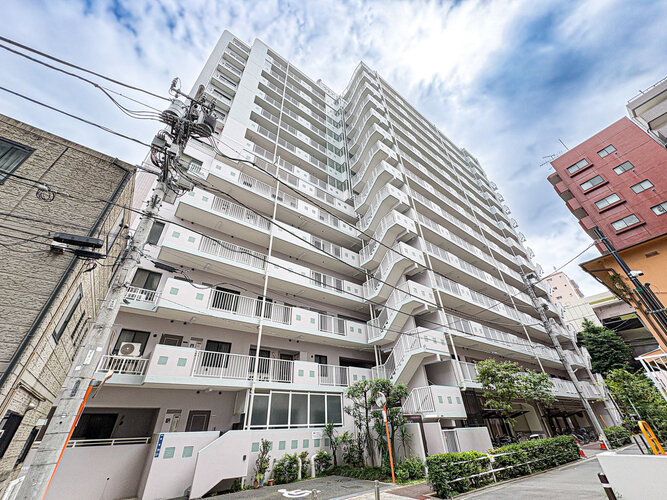 格調と静謐を強く息づかせたデザイン空間が、住む人や訪れる人を館内へとやさしくエスコートします。