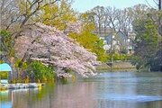 その他環境写真 その他環境写真