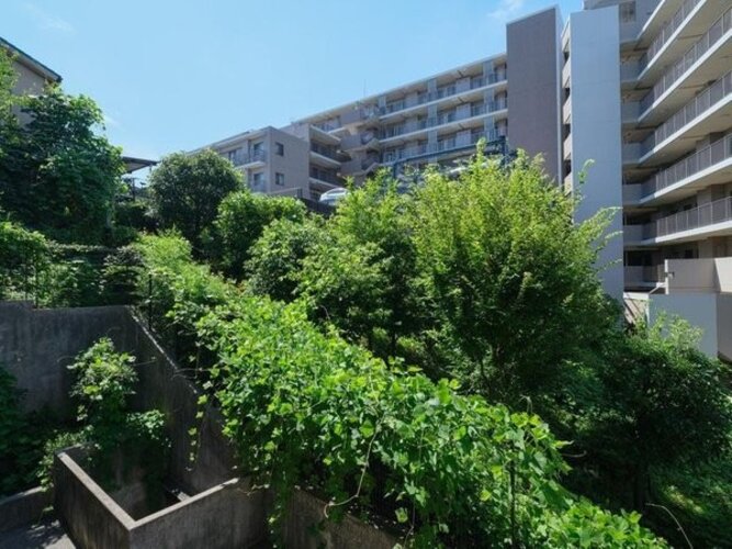 住戸からの眺望写真 住戸からの眺望写真