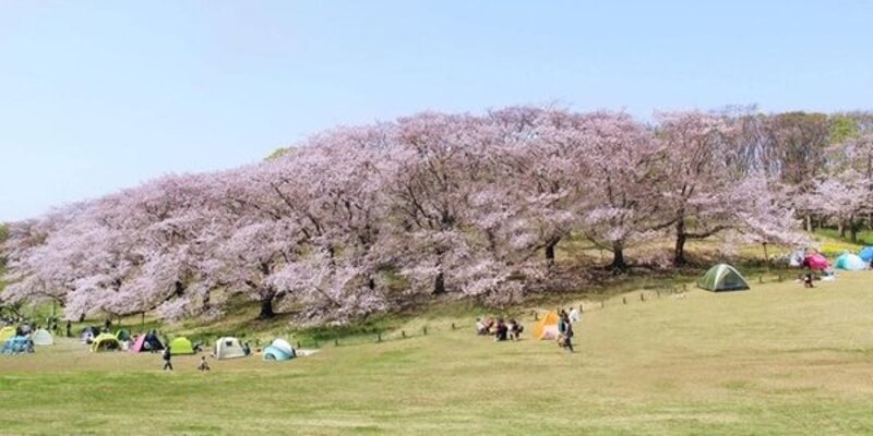その他環境写真 その他環境写真