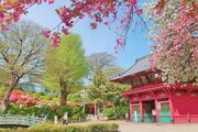 その他環境写真 その他環境写真