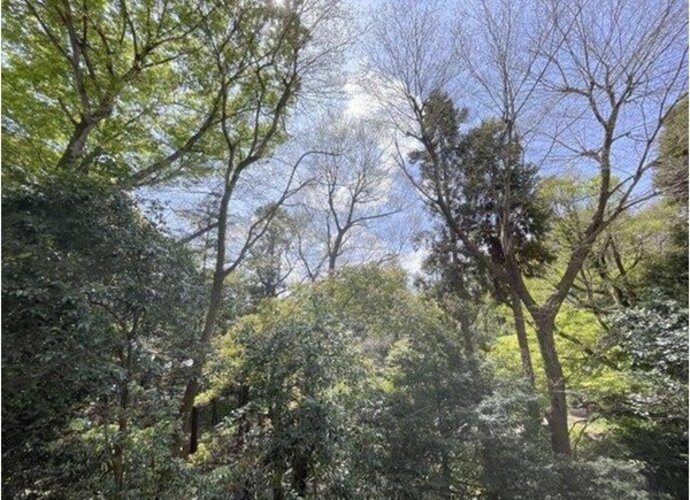 住戸からの眺望写真 住戸からの眺望写真