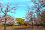 公園
