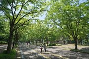 その他環境写真