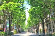 その他環境写真
