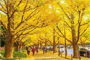 その他環境写真 その他環境写真