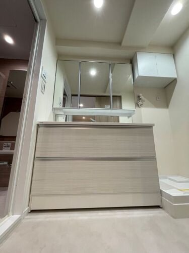 快適に過ごせることはもちろん、気品や優雅さを兼ね備えたパウダールームです。 快適に過ごせることはもちろん、気品や優雅さを兼ね備えたパウダールームです。