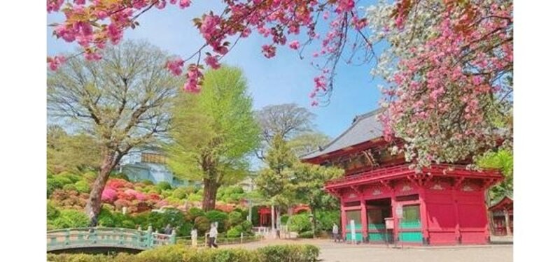 その他環境写真 その他環境写真