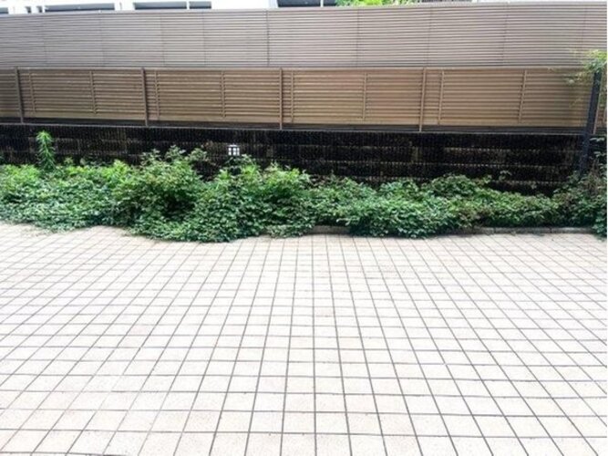バルコニー バルコニー