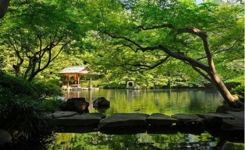 その他環境写真