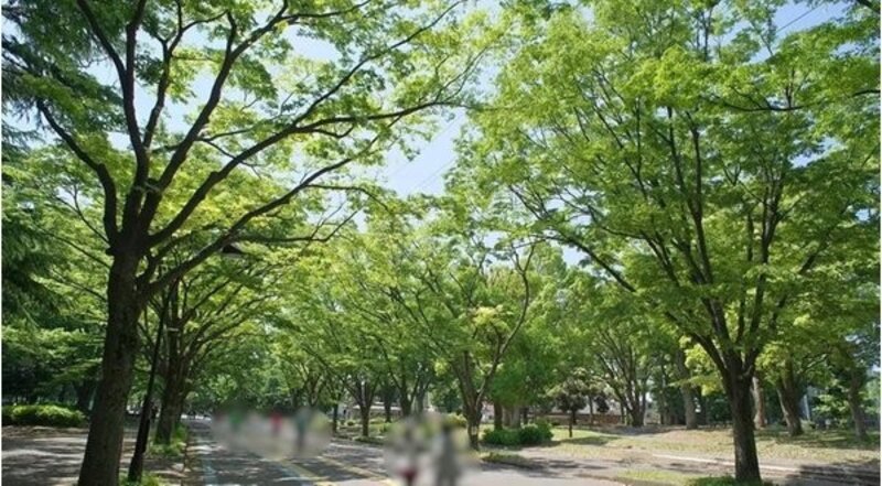 その他環境写真 その他環境写真